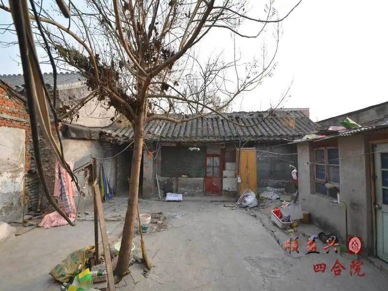 灰瓦,都在诉说着这座院子的年华,我想这才是我心中老北京四合院的样子