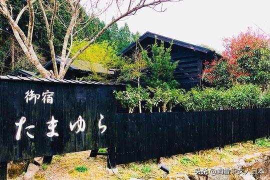 ff46d59a487f4ddf806054c2fb5bc389.jpeg