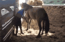 搞笑gif趣图:这年头就怕遇到脾气不好的_大哥