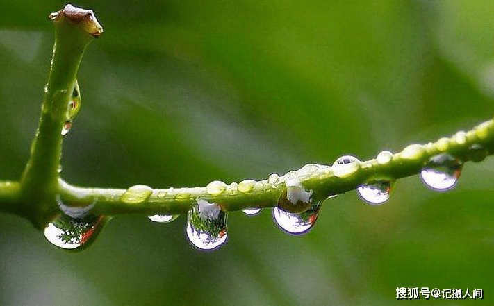 那个有雨的夏天