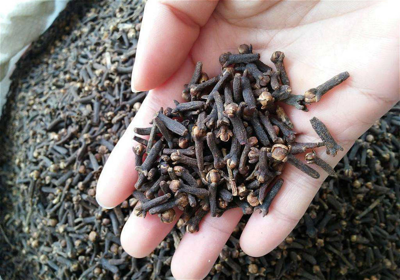 玉米粒|做一次能用整个夏天野钓守大鱼专用的酒泡玉米