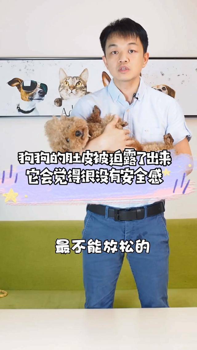 狗狗不让抱怎么办一抱就咬人