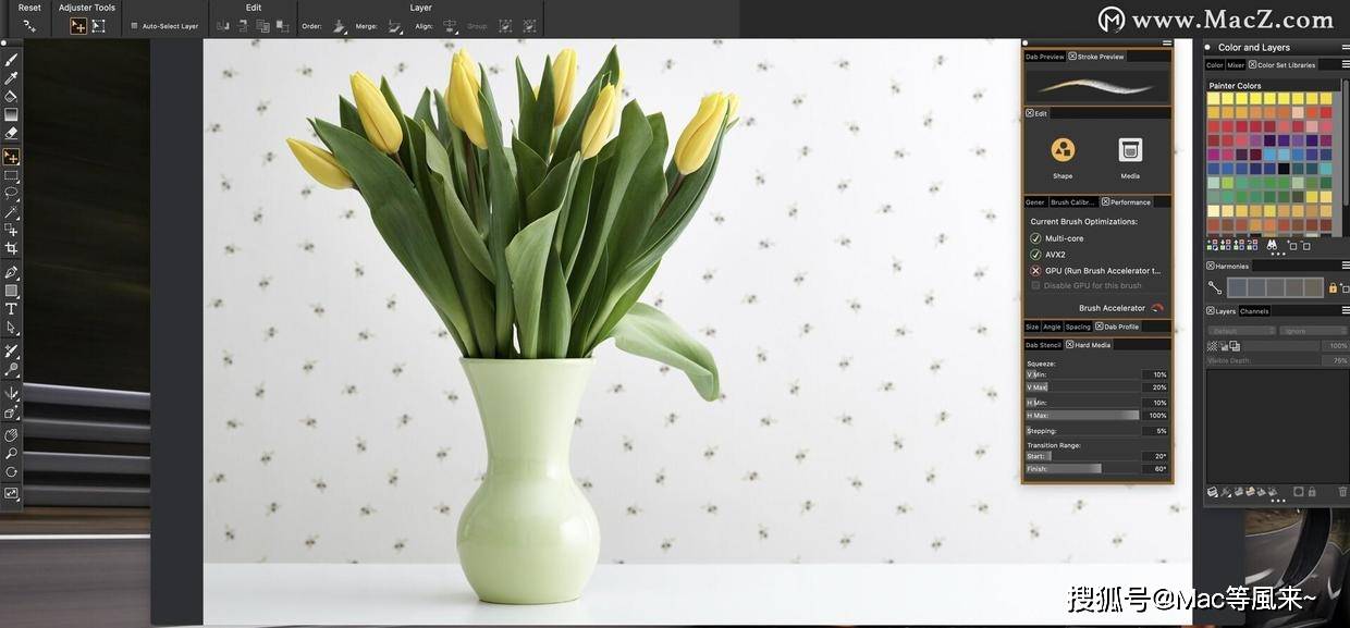 Corel Painter 2021 for Mac(专业美术绘图软件)_绘画