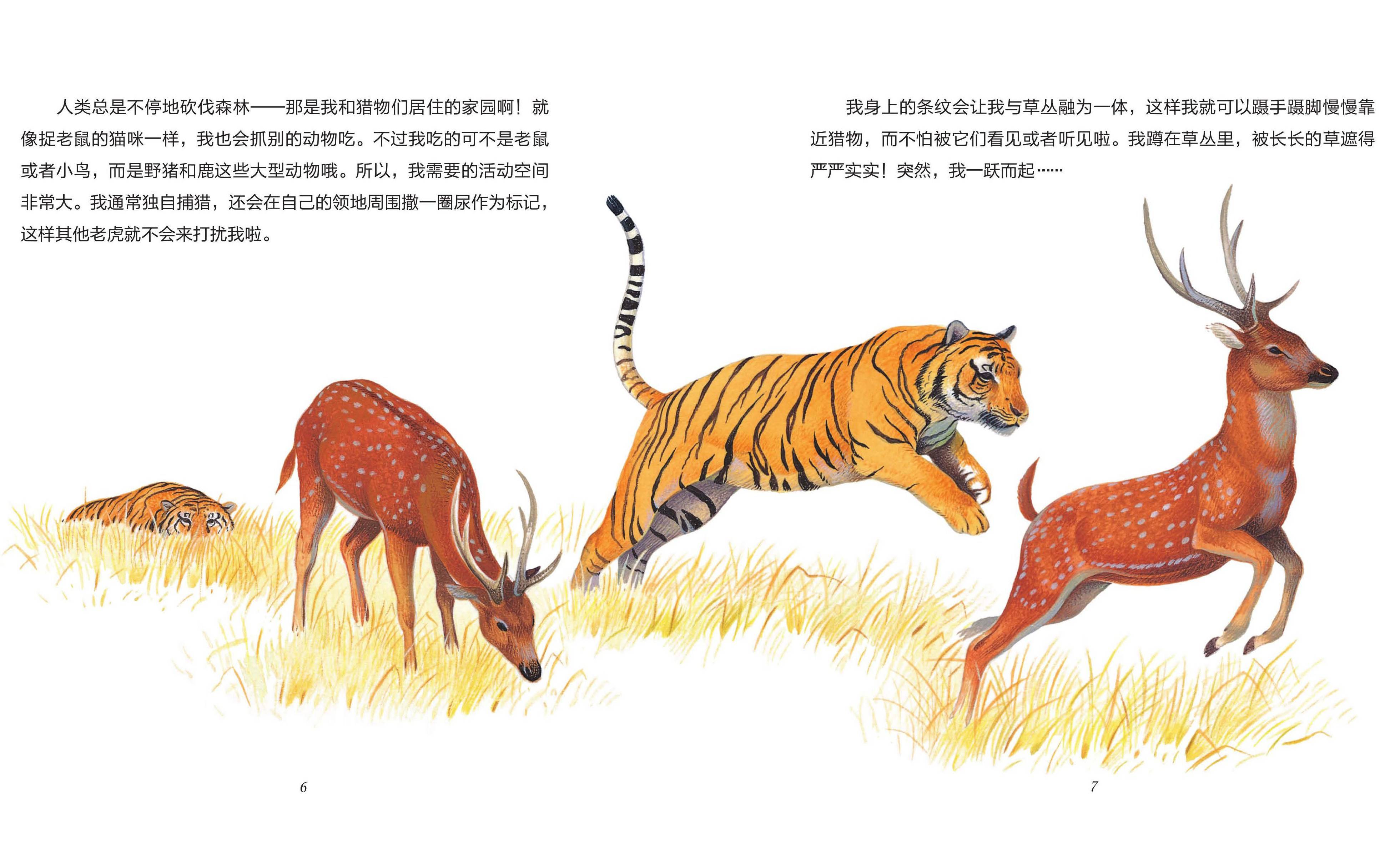 儿童绘本故事推荐《食肉动物》