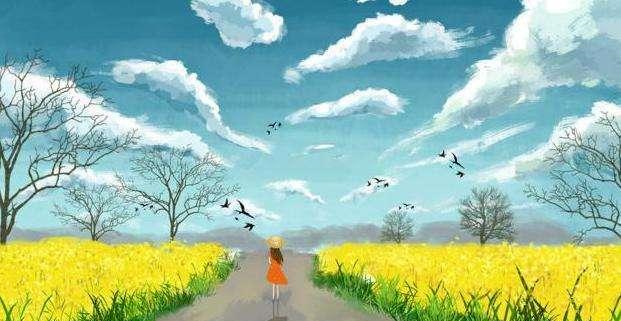 d65ae7417f5143e69437e6218acc8007.bmp