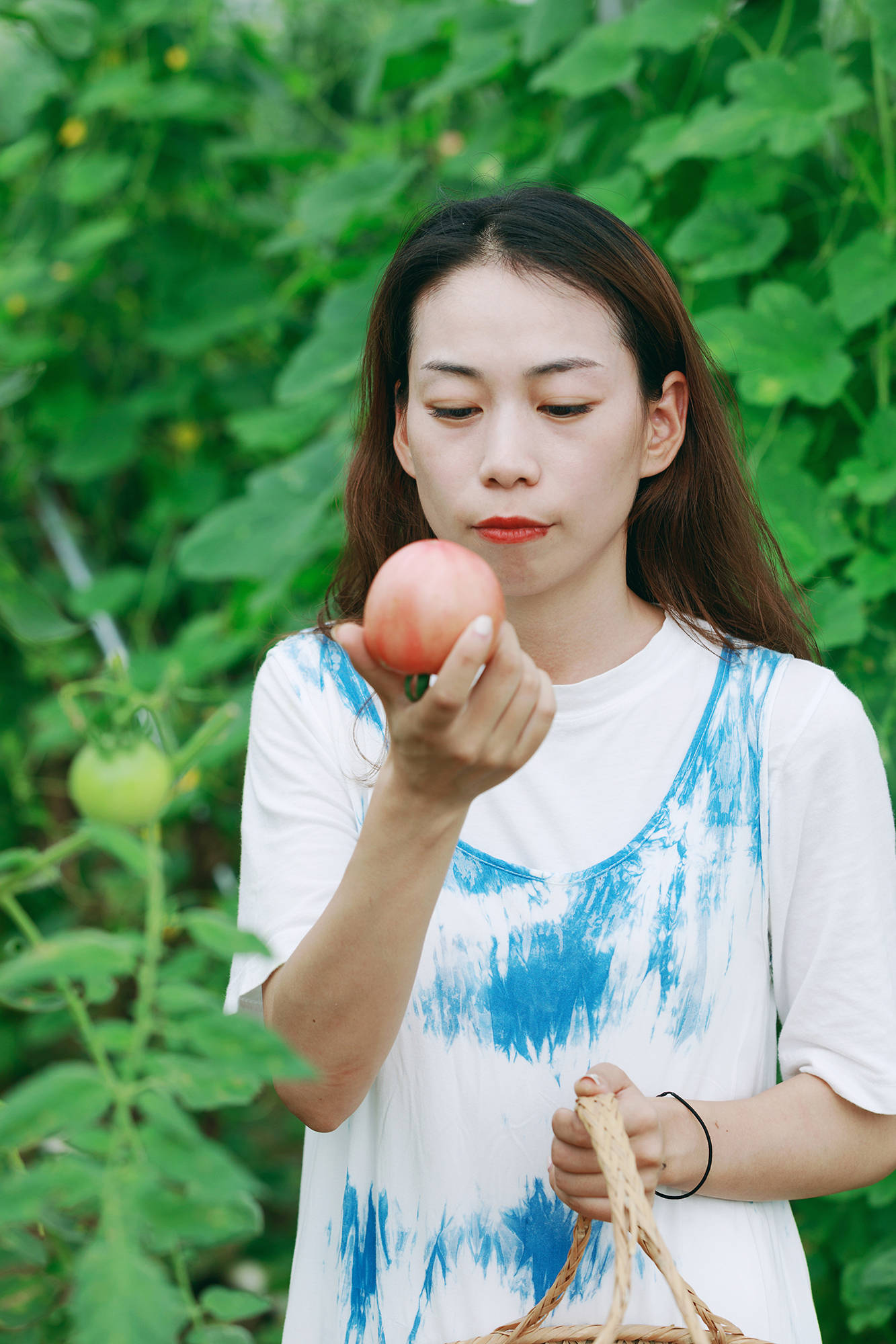 女人|正是蜜桃成熟时，番茄、蓝莓是伴娘夏风掠过北太湖