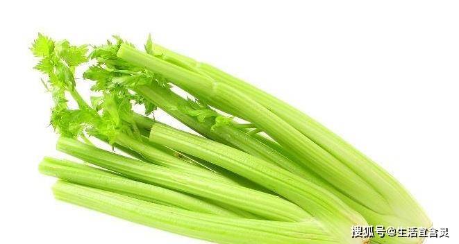 吃什么菜有助于怀孕 1253a6dd53854b4ea6f4f83e9f45a21f.jpeg