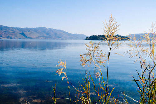 与融美旅一起,走近滇池南湾的秀美风光里