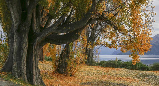 何为三灾八难 5fcc18fb7cf947bca5dd16c17c78738f.jpeg