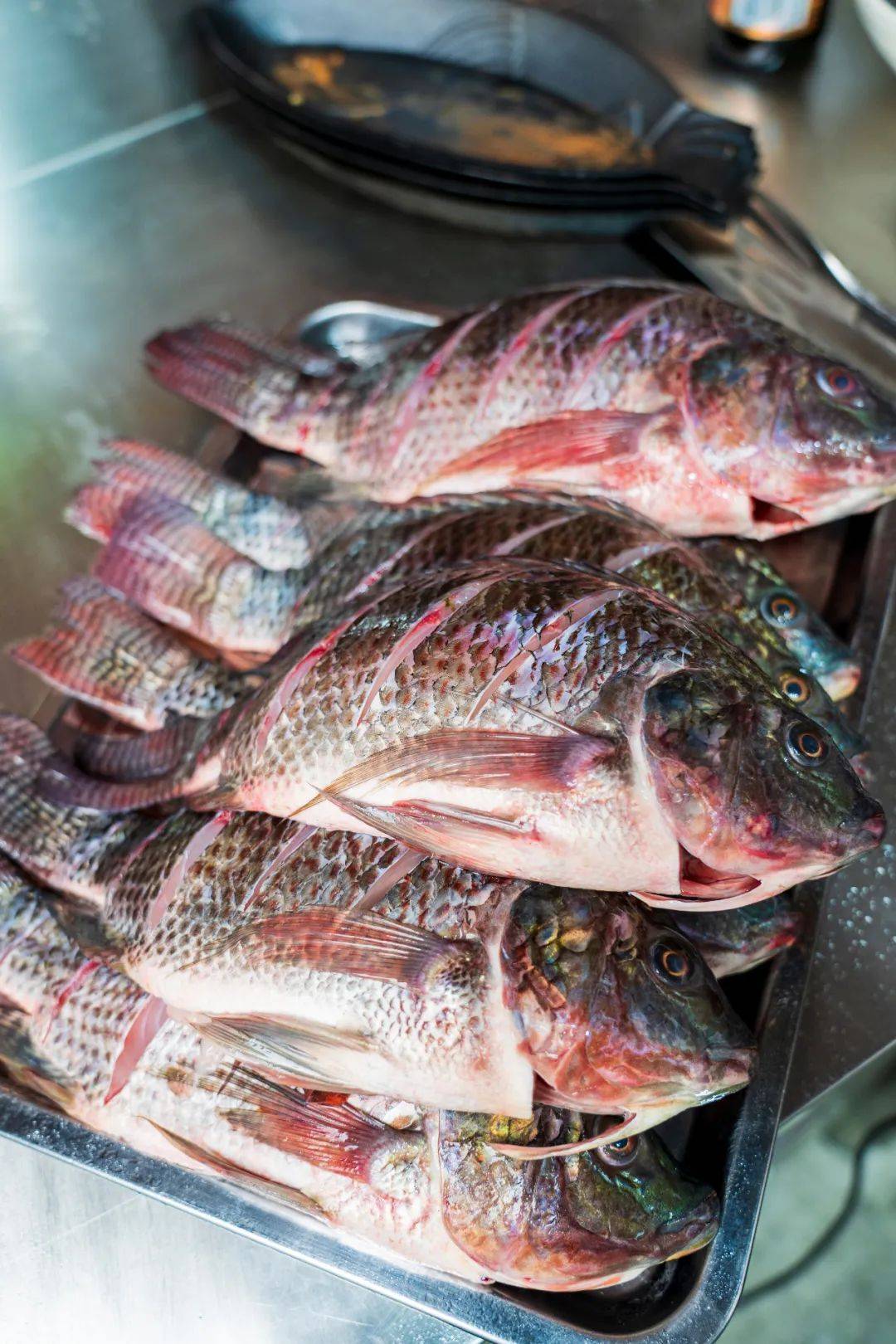 连唐僧|生蚝比47码皮鞋大，连唐僧都无法拒绝藏在昆明小区的老字号烧烤