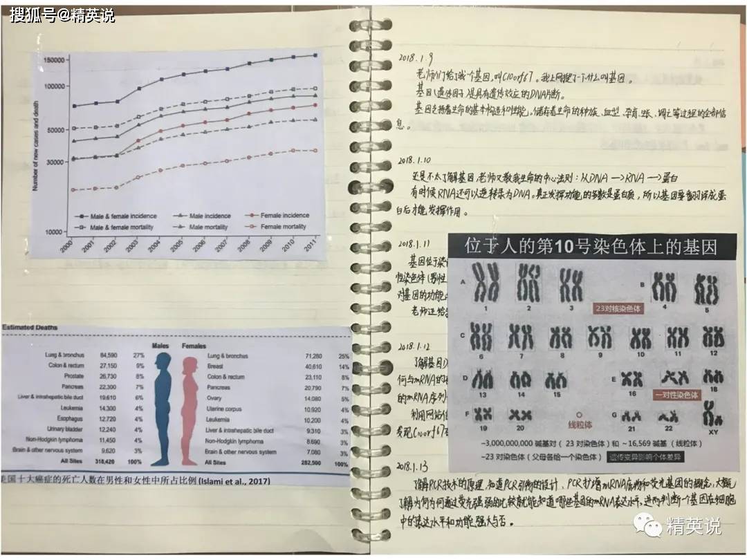 原创家长道歉！官方打假医学“神童”：5天弄懂基因、水平堪比博士，黑幕到底多深