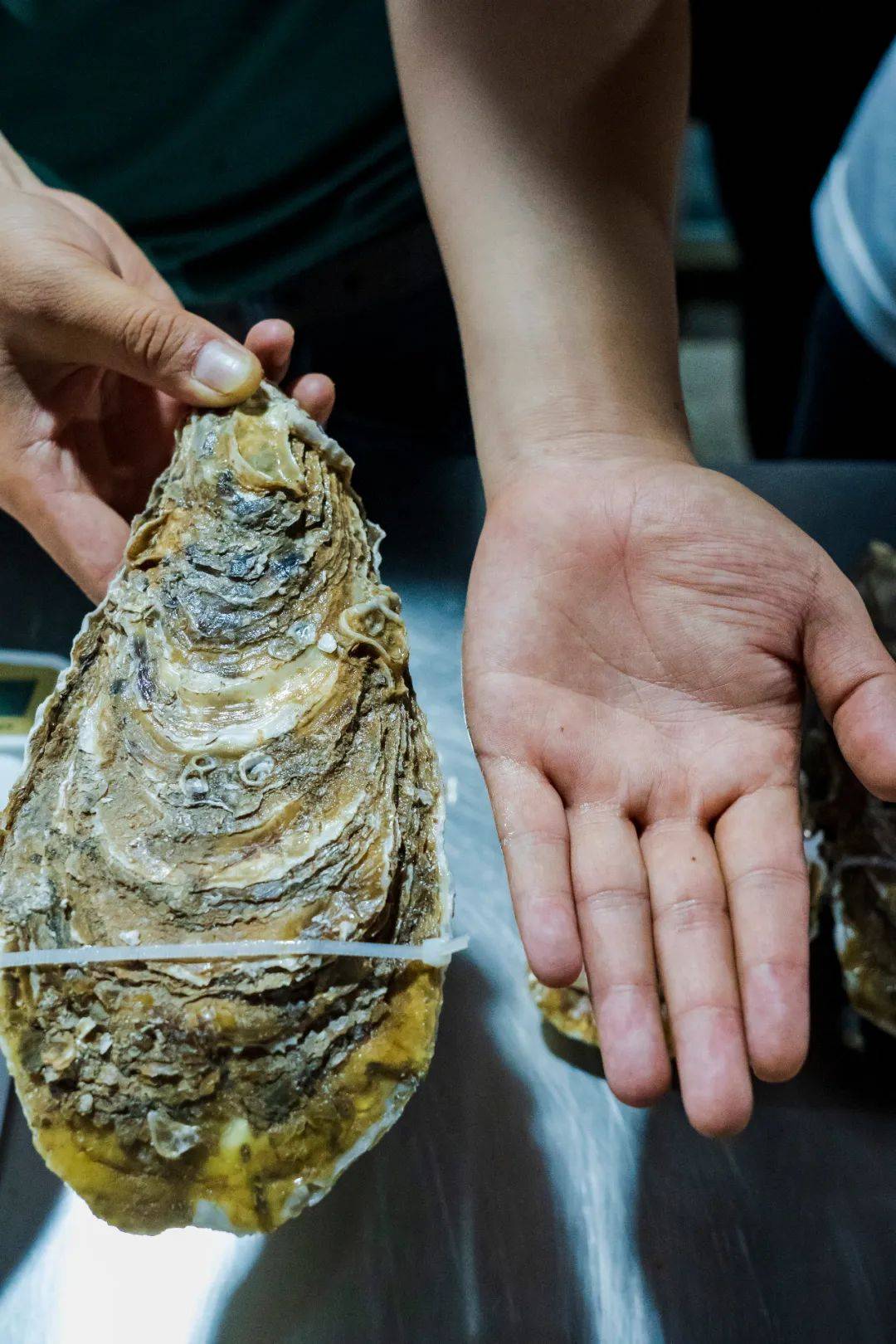 连唐僧|生蚝比47码皮鞋大，连唐僧都无法拒绝藏在昆明小区的老字号烧烤