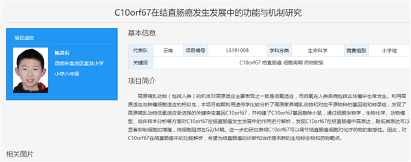 项目|云南“小学生研究癌症论文”一等奖被撤销