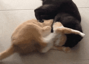 过得这么快,以上就是为大家带来的爆笑内容,大家有什么搞笑的生活趣事