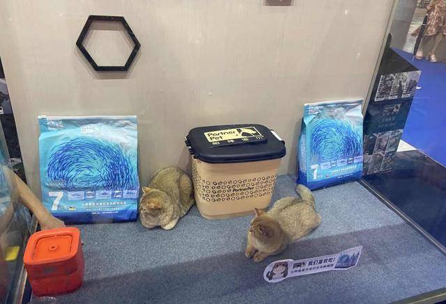 品牌|行业首展开幕：观众破2万，多家展商表示＂超预期＂