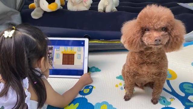 章子怡2亿豪宅曝光，游戏厅游泳池应有尽有，宠