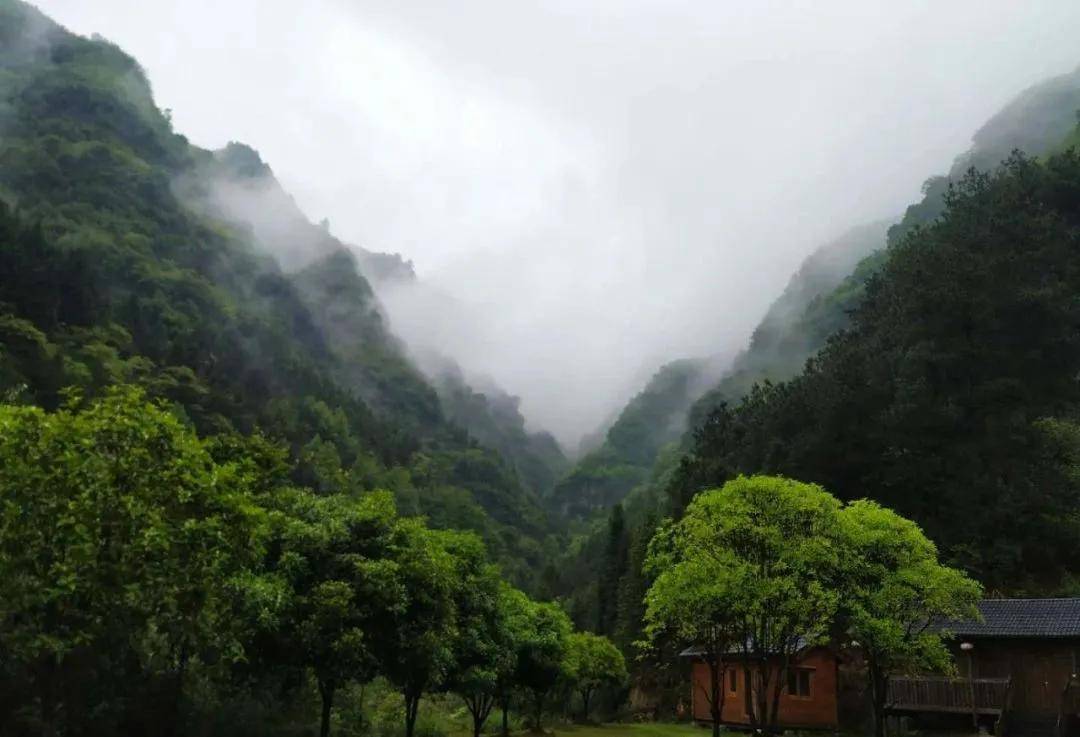 张家界最乡野的清凉避暑营地,大山,树林,绿色