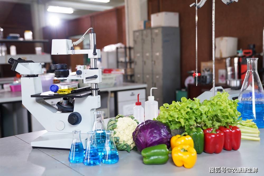 福州市2020年上半年g_2019年福州市