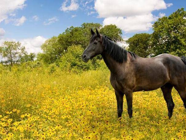 78年马几月份最好 99e6b780751c44b8895451a8d0cfedb2.jpeg