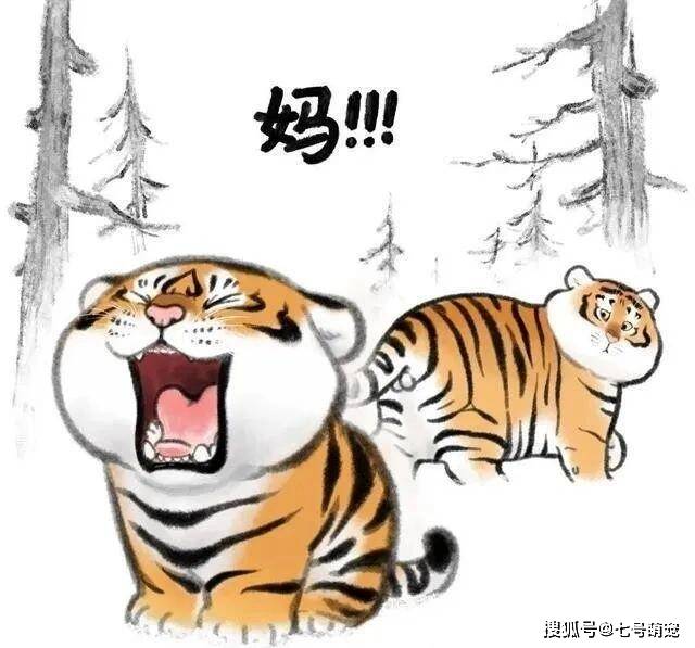 原创他把老虎画成了"肉球,引45万粉丝围观,网友:这明明是橘猫