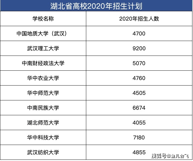 乐东九所2020人口数量_三亚乐东九所新区