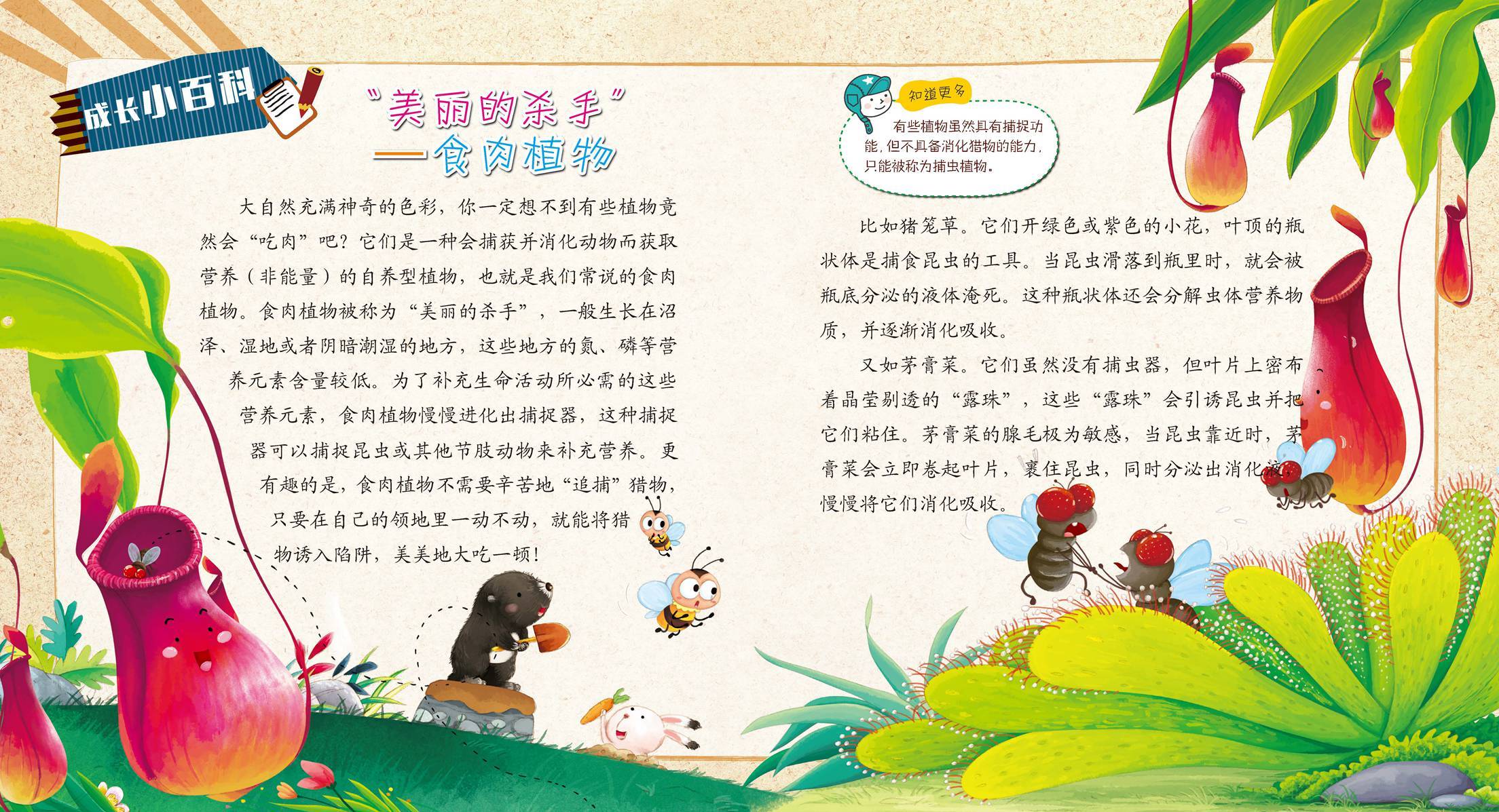 儿童绘本故事推荐《吃肉的植物》