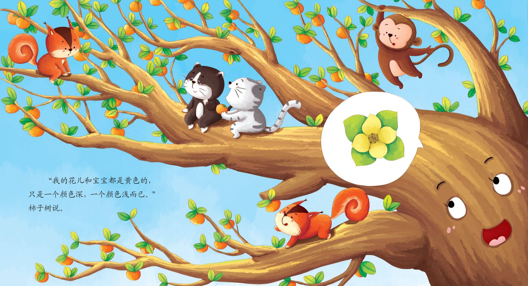 儿童绘本故事推荐《生宝宝的树》