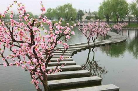 大庆gdp2020_大庆油田(3)