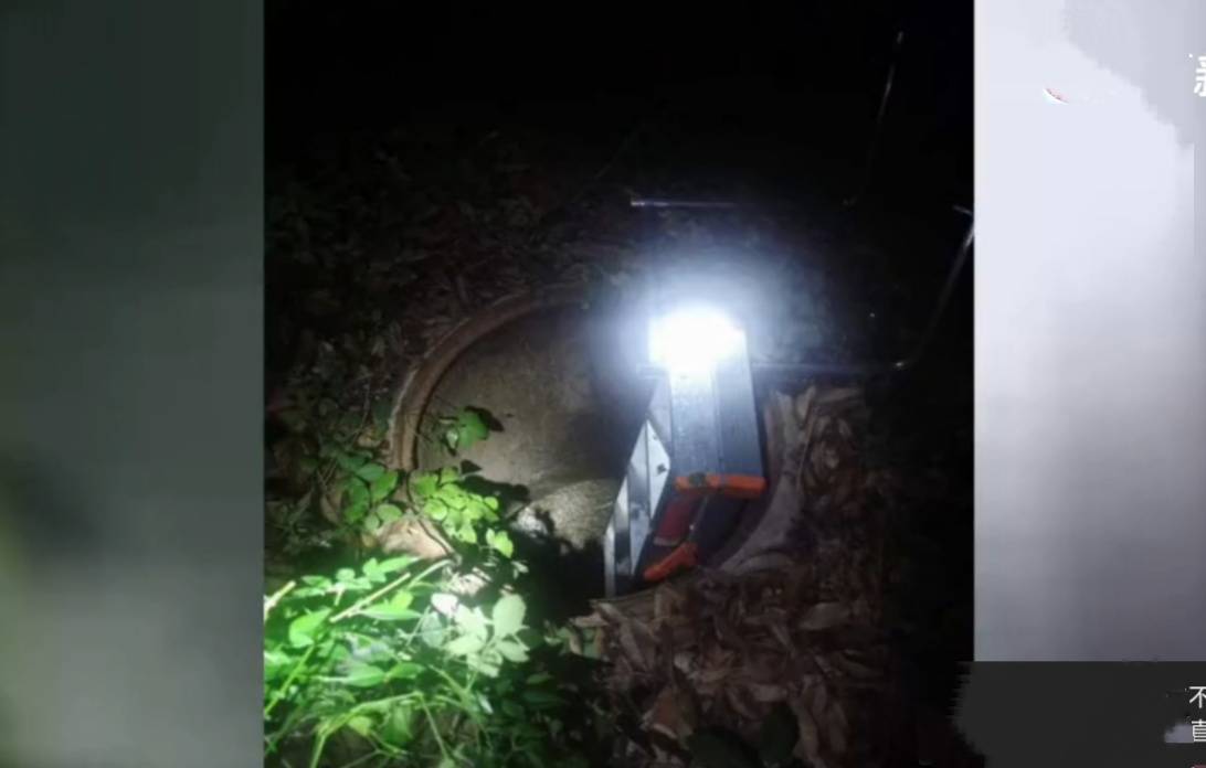 白日梦魇，掉入粪坑的寓意与自我救赎