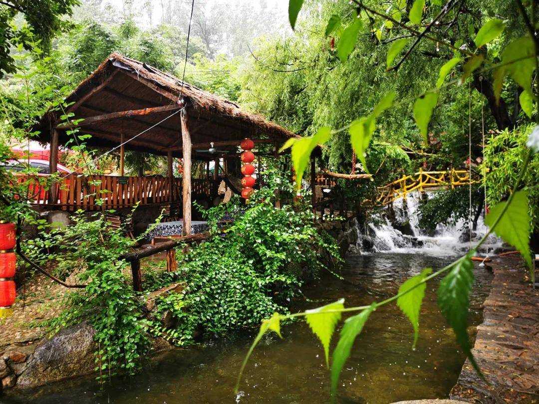 雨后的沂蒙山村椿树沟,迎来"高颜值"好风景