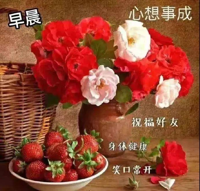 朋友圈问候大家早上好祝福语图片 清晨早上好问候语阳光语录