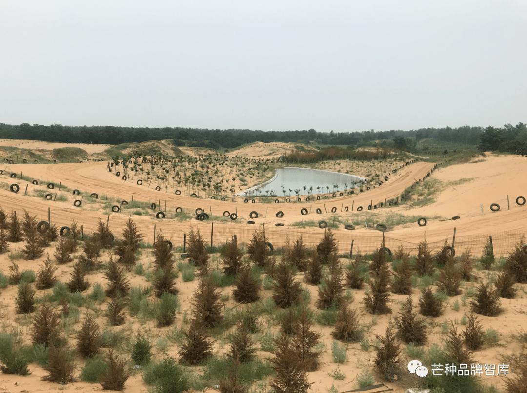 大荔的渭洛河夹槽地带还坐落着我国内陆地区最大的沙漠绿洲——沙苑.