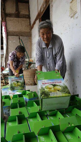 家乡父老|再不去就没有了!南充嘉陵龙蟠那边的红瓦房翠冠梨!