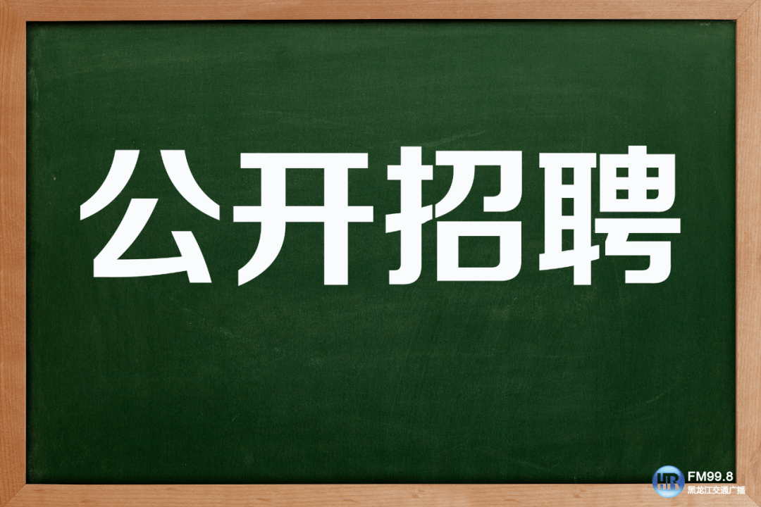 南岗招聘_南阳求职招聘网 南阳货运司机岗位推荐(4)