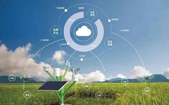 关注丨数字农场用智慧提升农业标准化