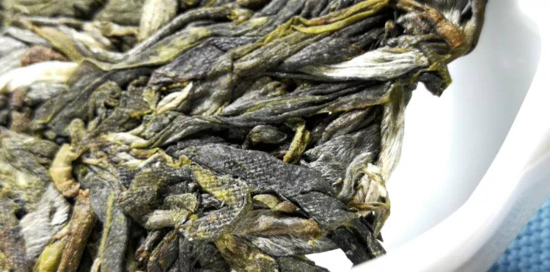 茶叶|【干货分享】江内古六大茶山之倚邦古茶山