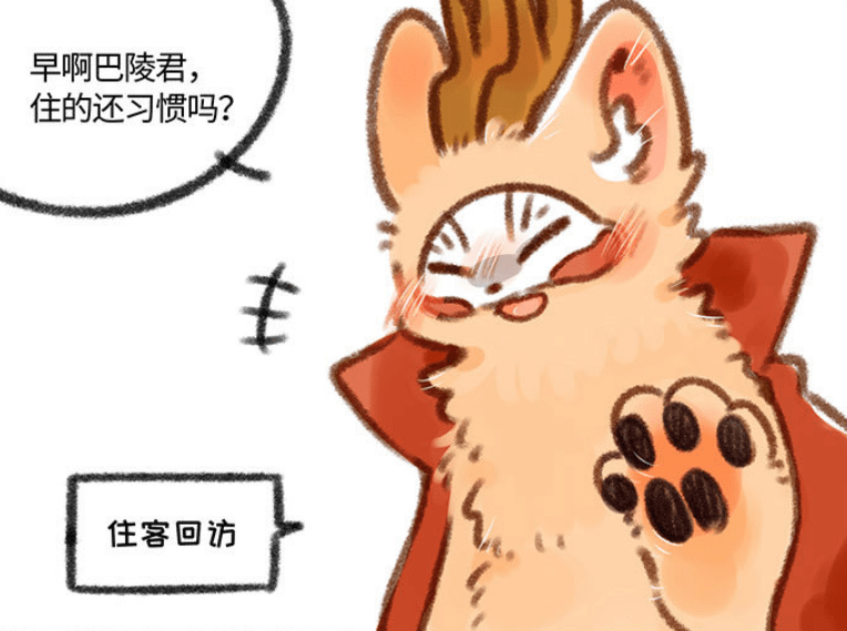 优惠传送门