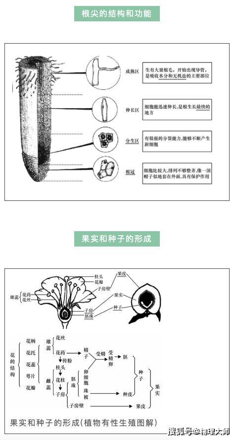 初中生物:考前必看的初中生物结构图,初中生提分好资料!