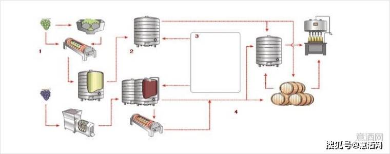 橡木|葡萄酒的酿造到底有哪些步骤呢？一起来看看吧！