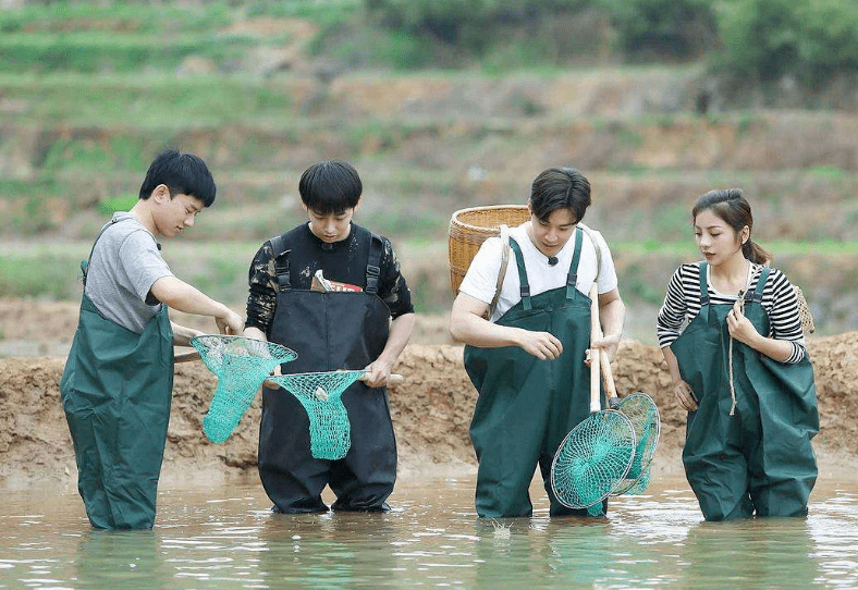 生活|这是下半年的综艺，广告主您满意吗？