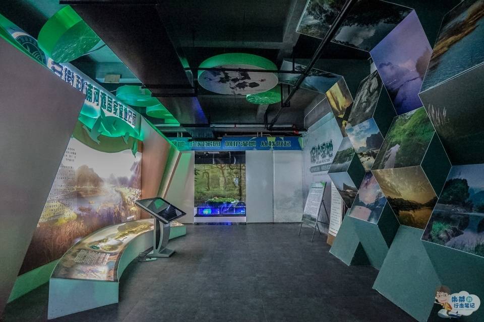 华东|中国三大富硒地之一 华东首家以富硒文化为主题的展馆 知道的不多