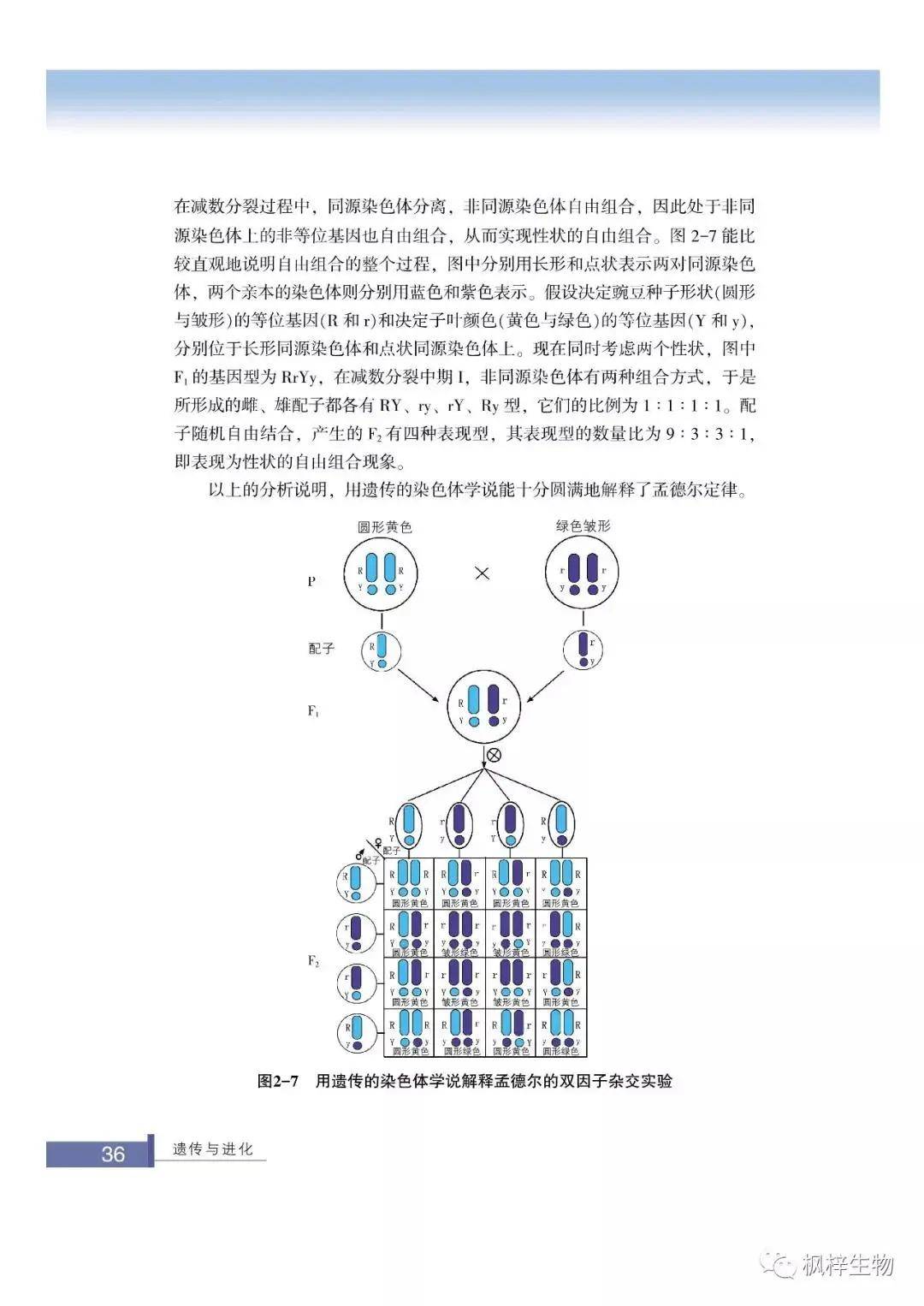 什么是生物的遗传 ec1f26f9cabf413fb6a1d410a2671bbd.jpeg