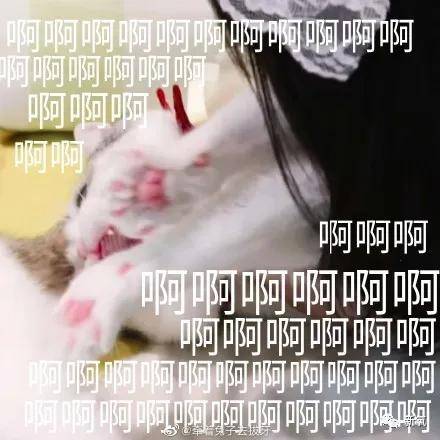 武艺|原创鞠婧祎美女人设又塌一个？被某明星暗戳戳揭露只有150当场黑脸...