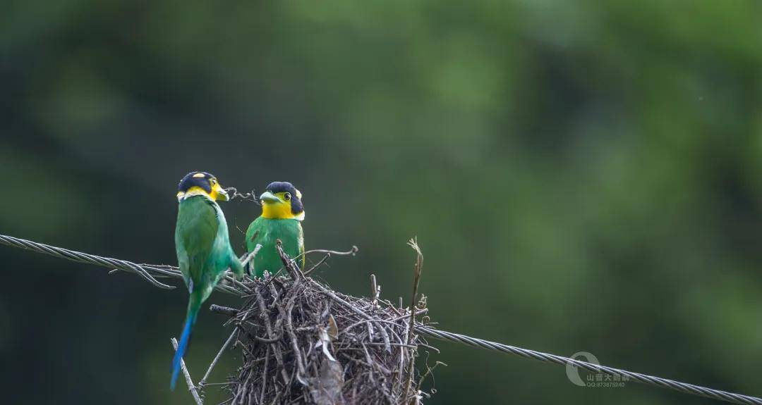 踏破铁鞋无觅处的上一句 15f1da91075f4781a624bc7e59b7a9d5.jpeg