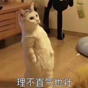 新低|黑粉都拍不到丑照的刘亦菲，却凭一己之力创造颜值新低？