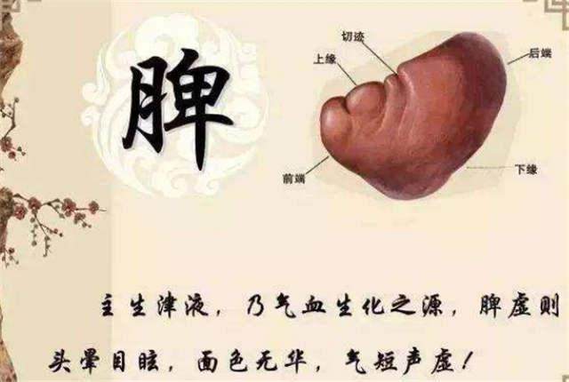 a17ba0669a1a4421a68809e0d792ddd4.jpeg