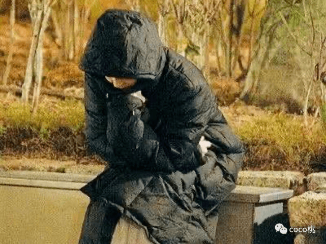 樊胜美|原创为救弟弟甘愿下嫁瘸腿富豪，黎姿是不是现实版樊胜美？