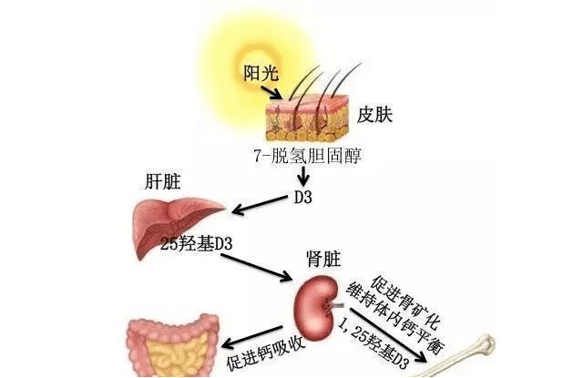 郁可唯|惊人变脸史、P图都P不出来的腿，谁能想到爆红的背后这么心酸呢...