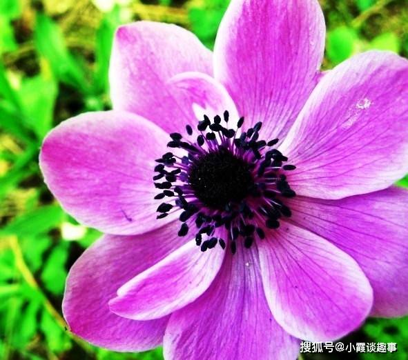 网上很火的人生感悟句子,句句有深度,让人一读再读