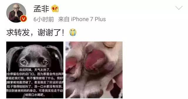 请接力！叔叔阿姨，请不要赶我走……